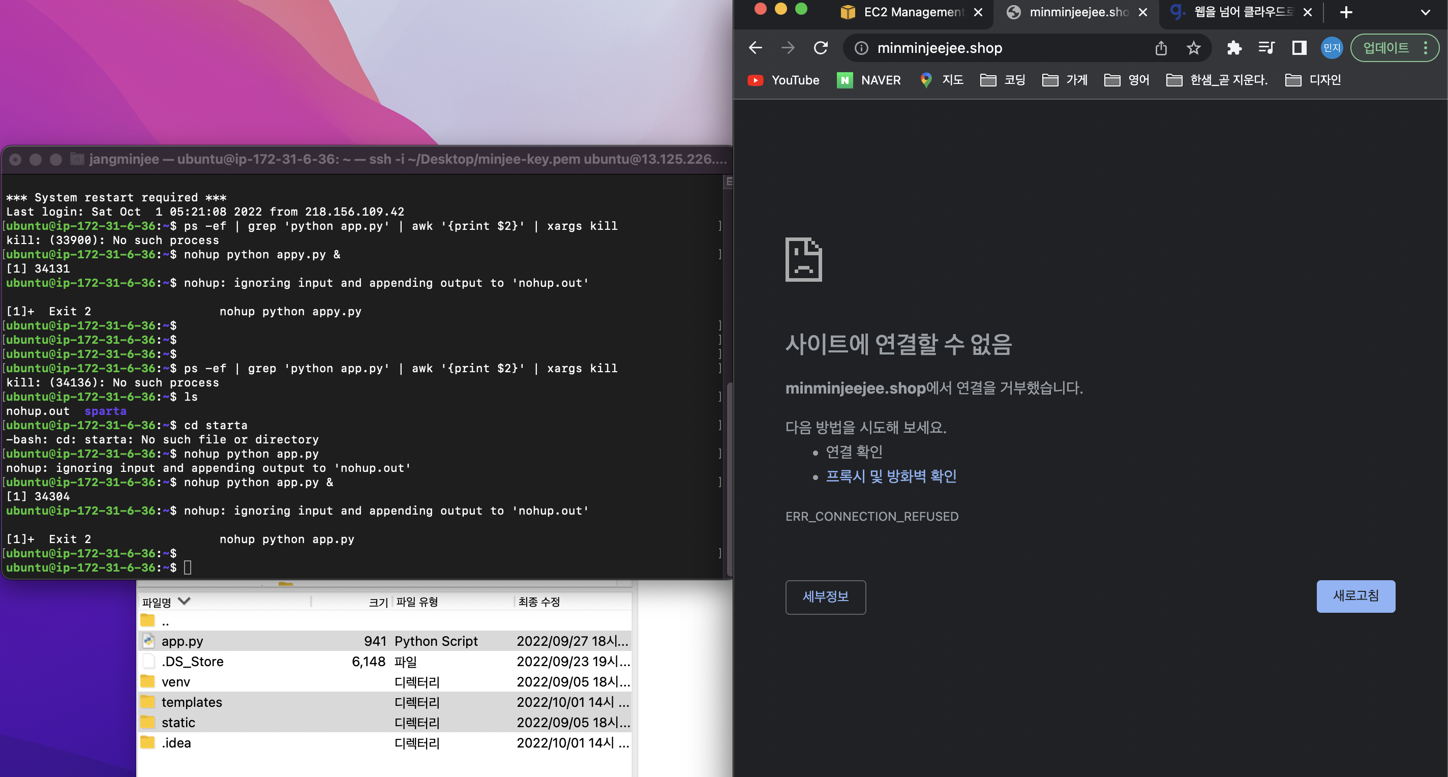 스파르타 즉문즉답